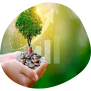 valor económico, social y ambiental