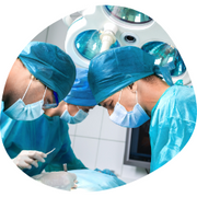 innovación y el servicio.